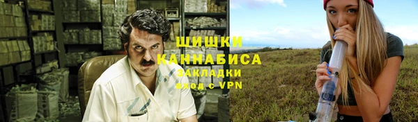 ешки Медногорск