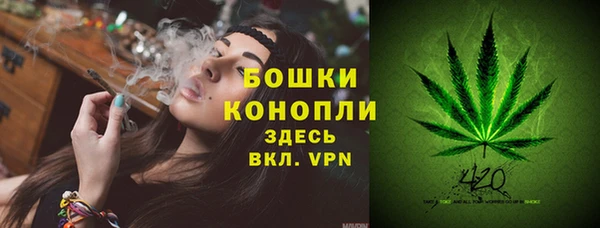 хмурый Мегион