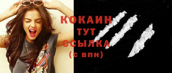 ешки Медногорск