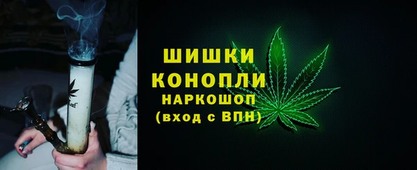 хмурый Мегион