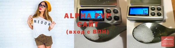 хмурый Мегион