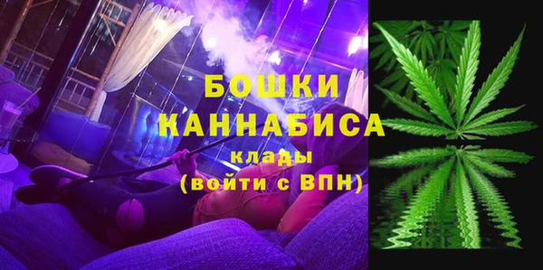 хмурый Мегион