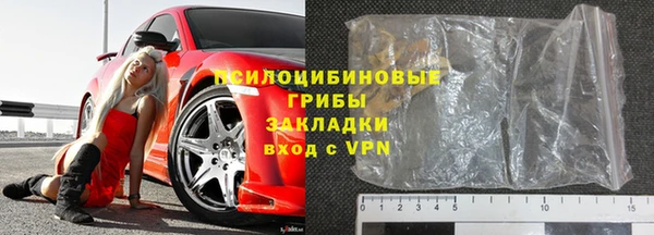 ешки Медногорск