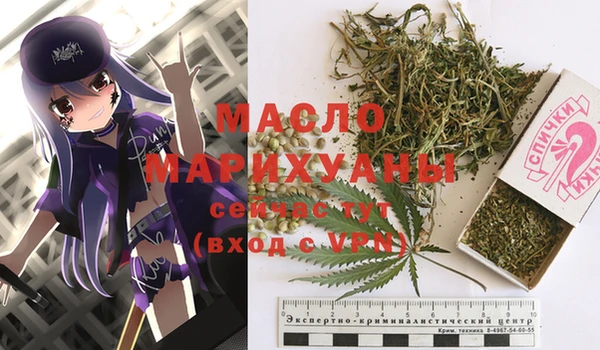 хмурый Мегион
